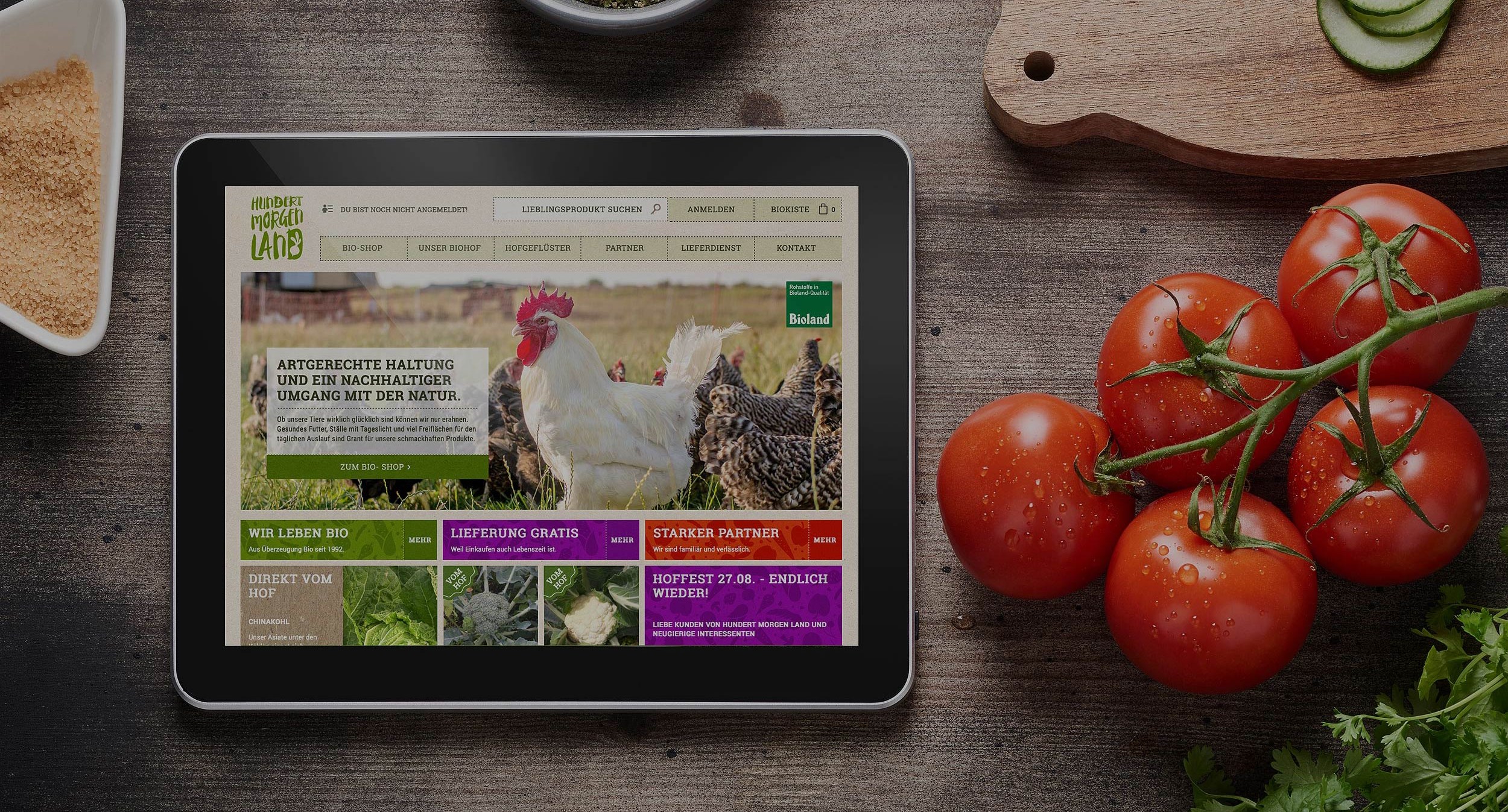 Designagentur dreipunkt - Full-Service Werbeagentur Leipzig | Background Programmierung Leipzig