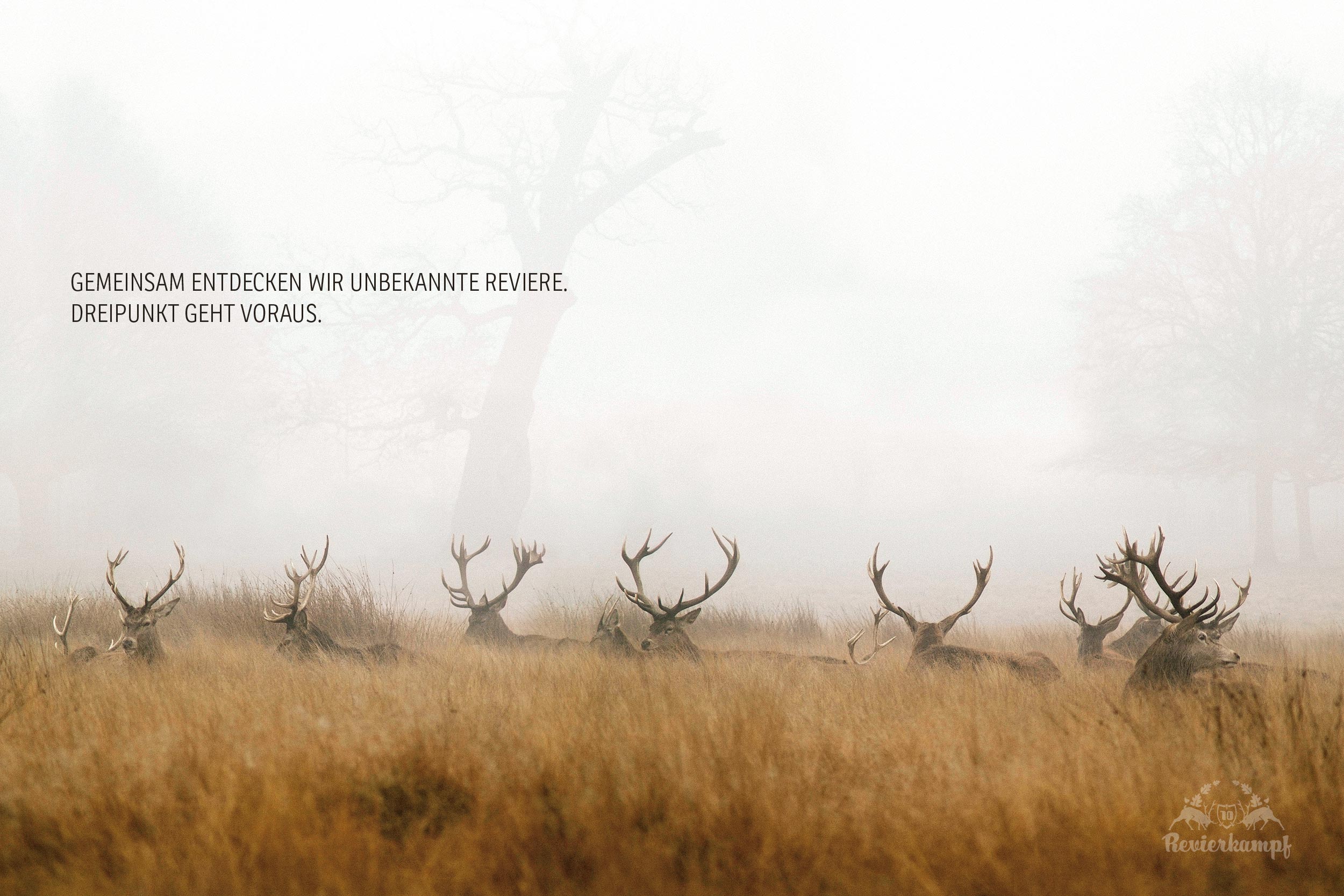 revierkampf entdecken