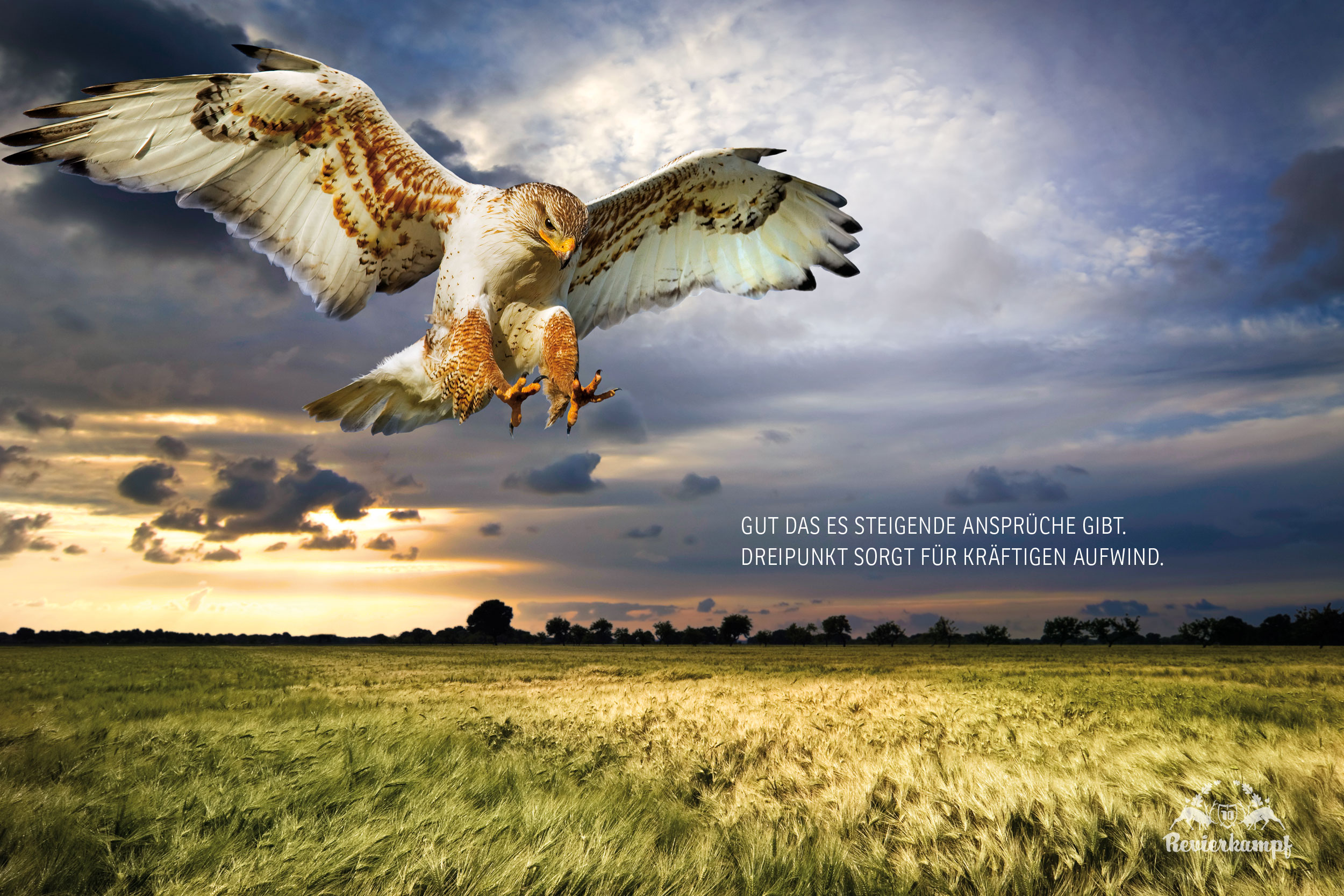 revierkampf aufwind