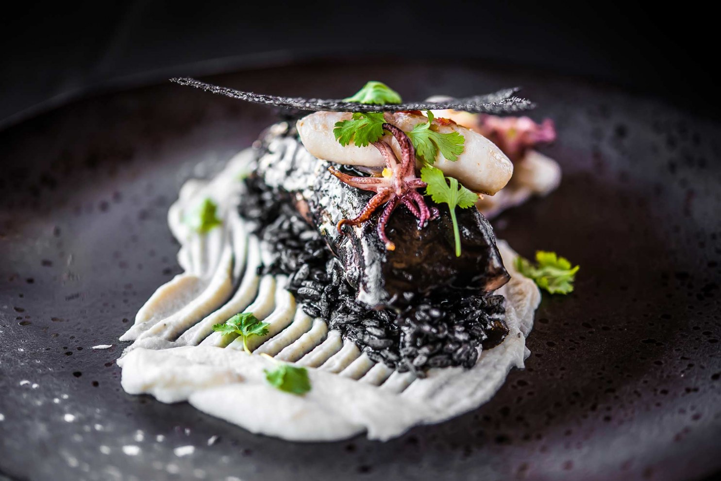 parkhotel diani fischgericht