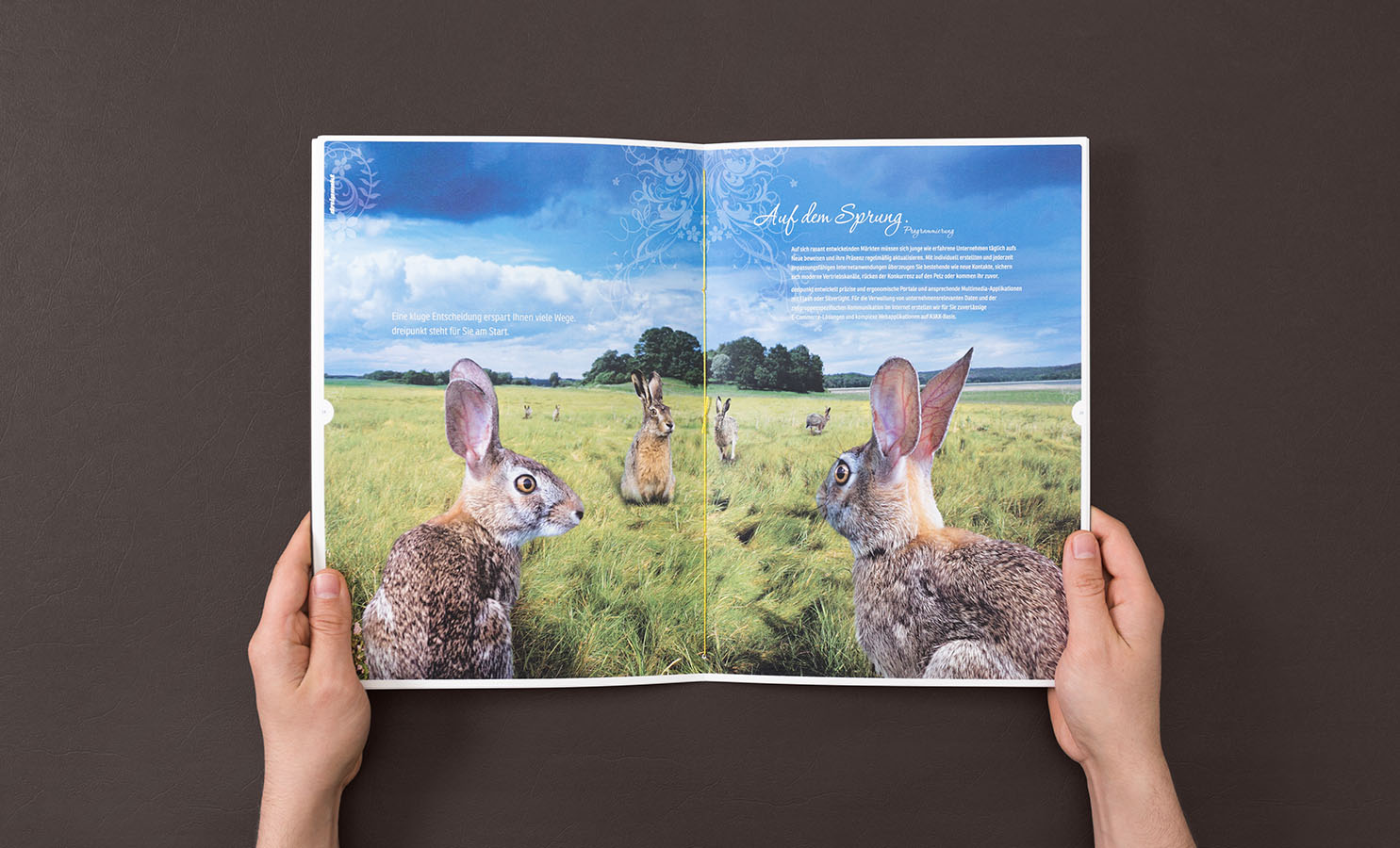 Revierkampf_Broschure