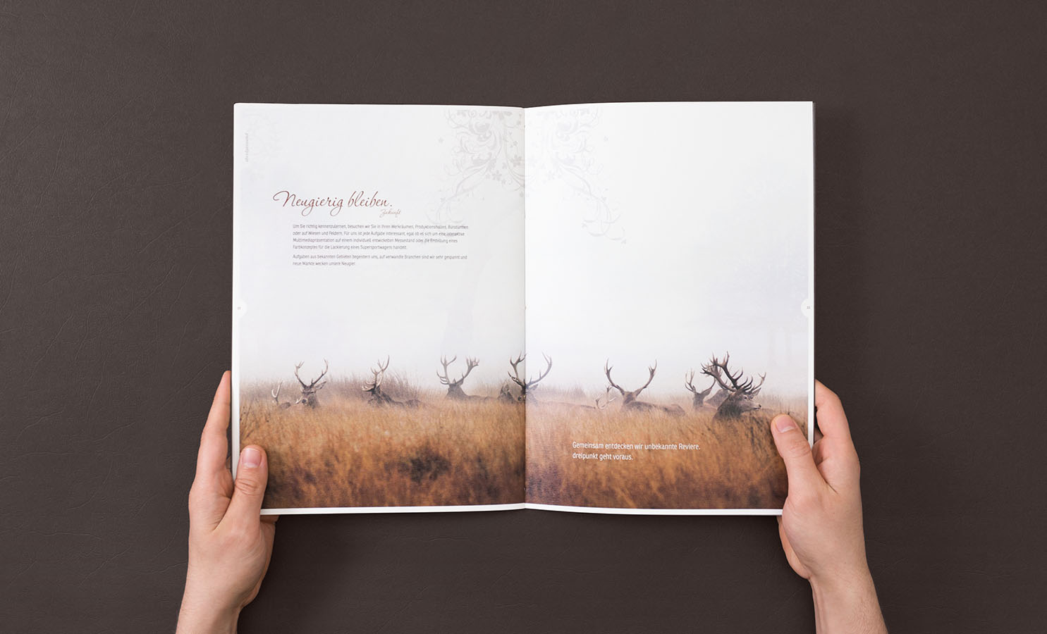 Revierkampf_Broschure