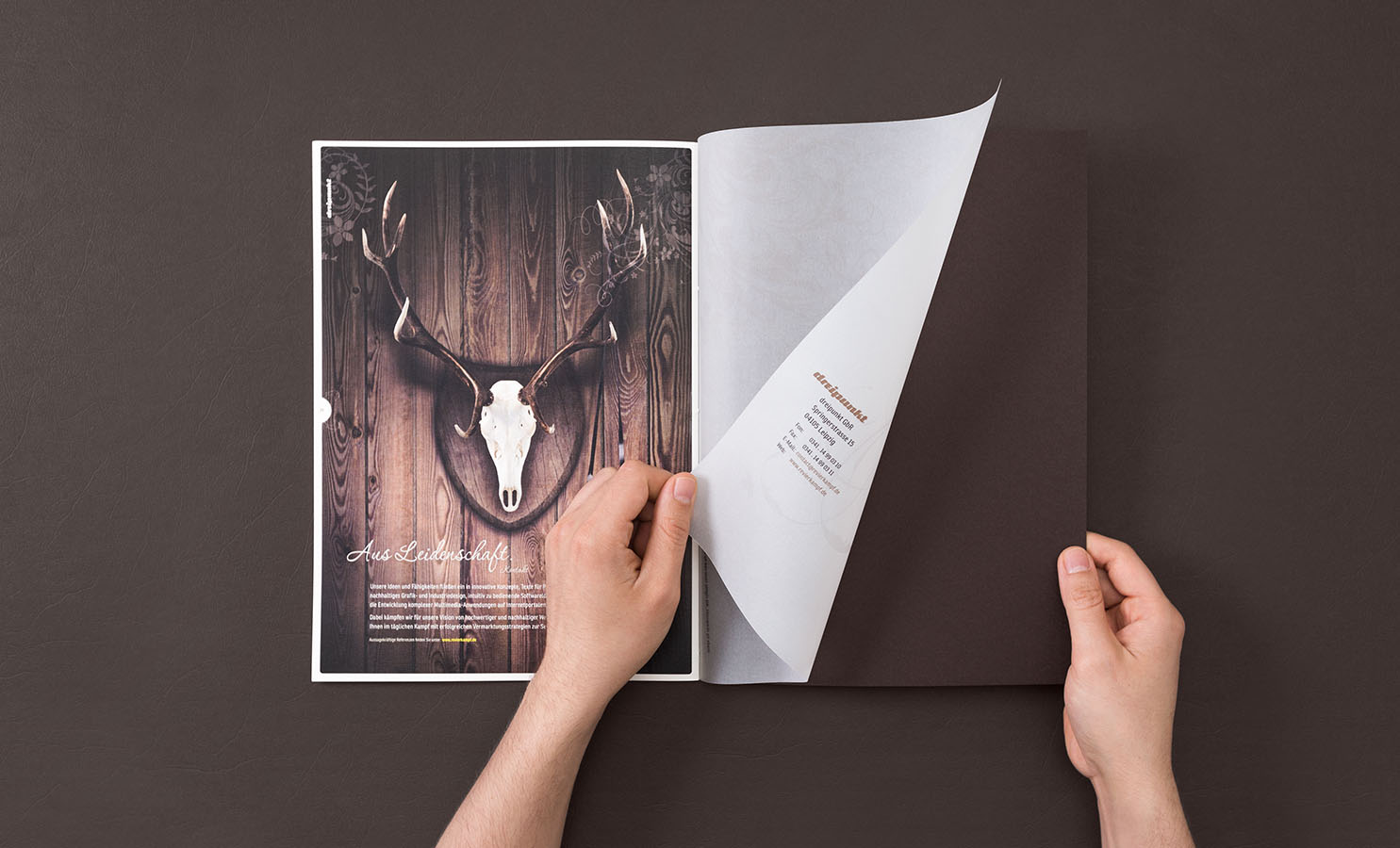 Revierkampf_Broschure