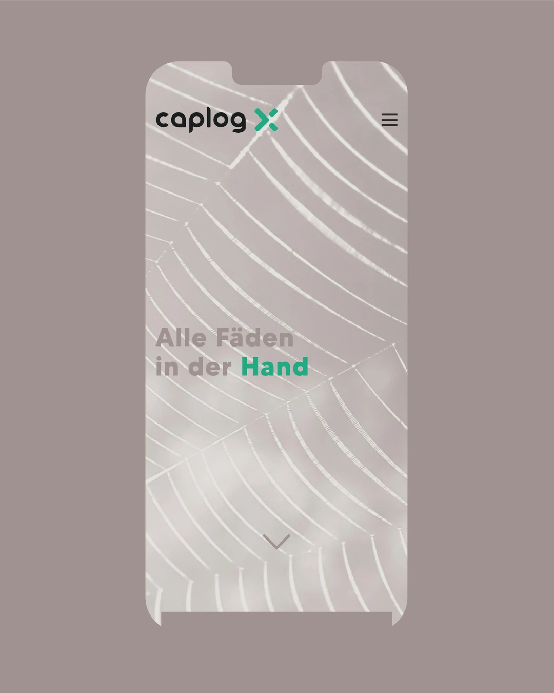 agentur dreipunkt caplog x animation phone 01