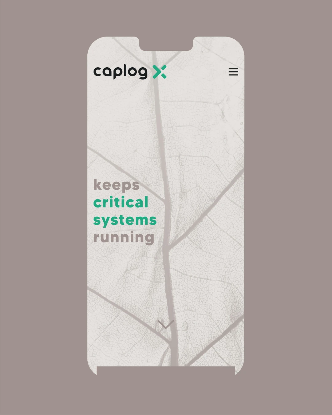 agentur dreipunkt caplog x animation phone 02