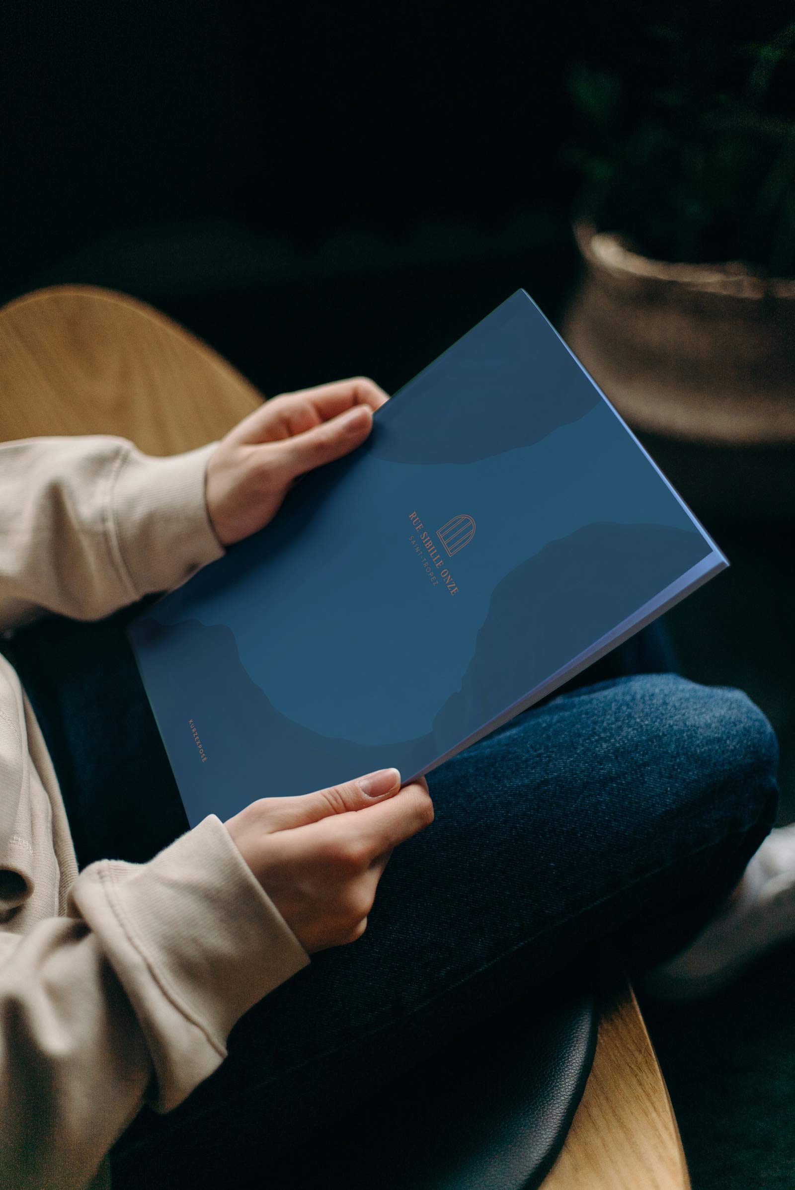 agentur dreipunkt cai mockup 03