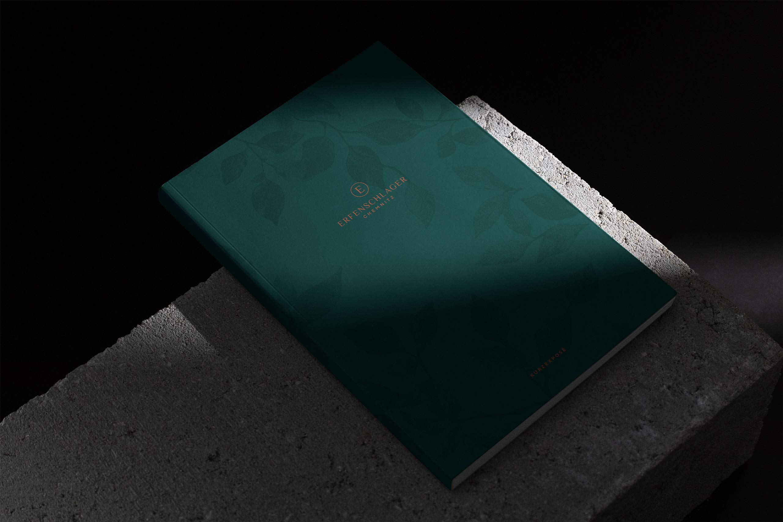 agentur dreipunkt cai mockup 04